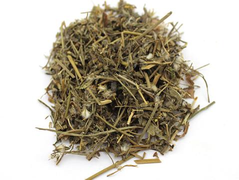 白屈菜的鉴别方法