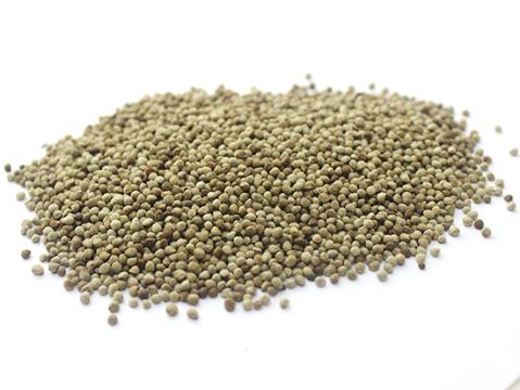 《江苏省中药饮片炮制规范》2019年版征求意见的情况反馈