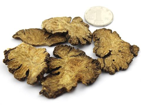 周评：焦点集中，果仁根茎活跃，双节药博推旺季