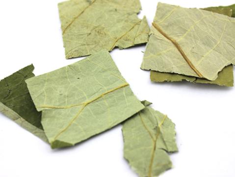 荷叶的鉴别方法