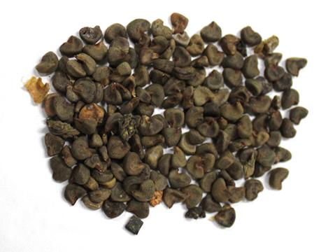 苘麻子的炮制方法与药方