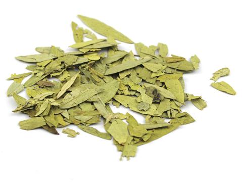 番泻叶鉴别