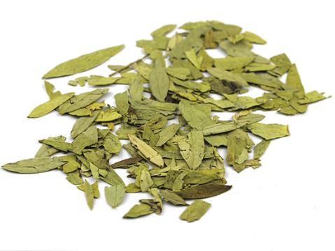 识别真假番泻叶