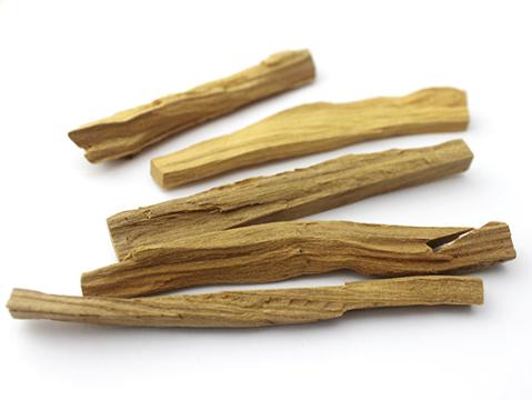半寄生性小乔木檀香基本特征及真伪鉴别