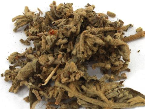 如何鉴别真假密蒙花