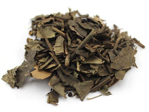 亳州市场矮地茶需求有限 正常购销