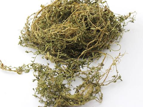 常用中药鹅不食草炮制方法及其来源
