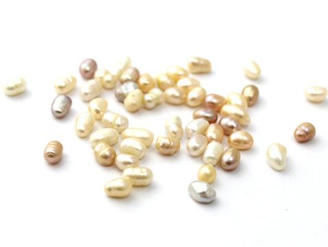 蚌壳造假冒充珍珠粉 使用注意鉴别